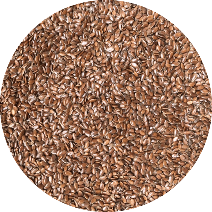 Flax seeds - Hạt lanh