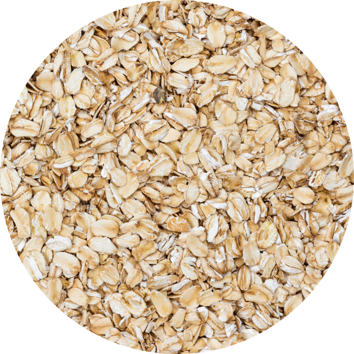 Yến mạch úc cán dày AU Rolled oats