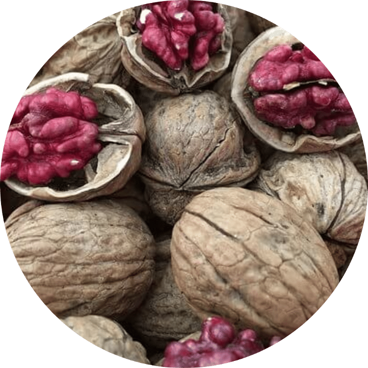 (CÓ VỎ) Óc chó đỏ Red Unshelled Walnuts