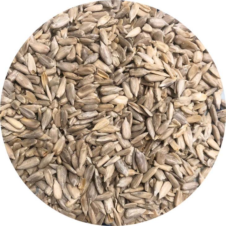 Nhân hạt hướng dương Sunflower seeds